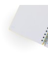 14224 Libreta A5 con squishy Lazy mapache - Let´s take it easy