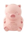 14307 Hucha cerdito para todo lo bonito que nos espera