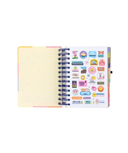 14339 Agenda Mr. Wonderful pequeña 2026-27 A6