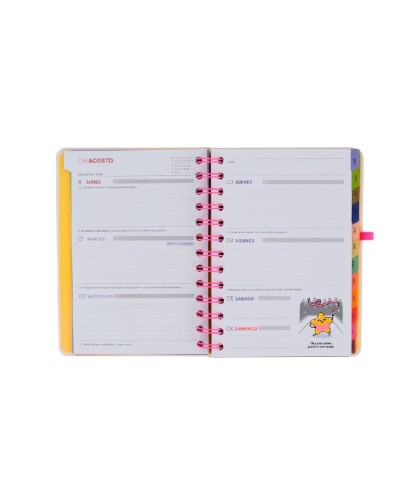 14428 Agenda Mr. Wonderful 2026-27 Semanal 18