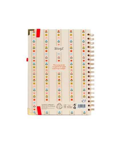 14433 Agenda Mr. Wonderful 2026-27 Semanal Ext