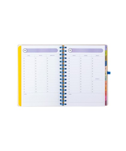 14437 Agenda Mr. Wonderful 2026-27 Semanal Ext