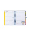 14439 Agenda Mr. Wonderful 2026-27 Semanal Ext