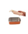 14524 Lunchbox Acero Butterfly