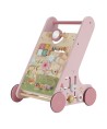 14679 Caminador Fairy Garden