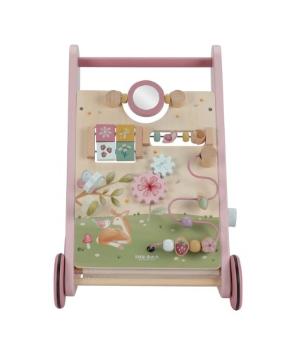 14681 Caminador Fairy Garden