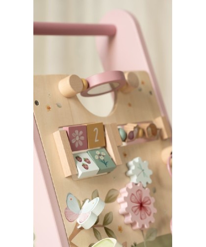 14684 Caminador Fairy Garden