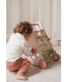 14687 Caminador Fairy Garden