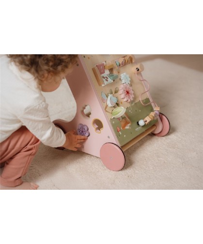 14688 Caminador Fairy Garden
