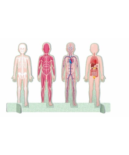 14762 El mega atlas del cuerpo humano 300Pcs +6 Años