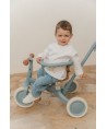 15664 Triciclo Con Barra Safari Dreams Azul