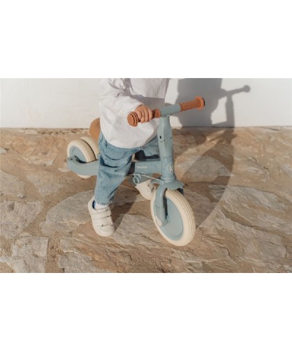 15665 Triciclo Con Barra Safari Dreams Azul