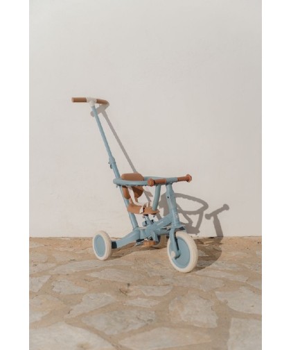 15666 Triciclo Con Barra Safari Dreams Azul