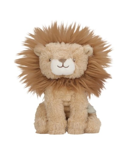15768 Caja Regalo Safari Friends