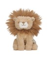 15768 Caja Regalo Safari Friends