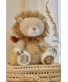 15782 Leon de Actividades Safari Friends