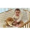 15784 Leon de Actividades Safari Friends