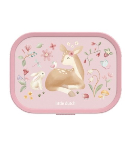 15849 Caja Almuerzo Campus Fairy Garden