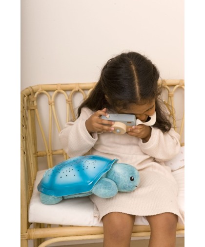 15982 Twinkling Twilight Turtle - Aqua