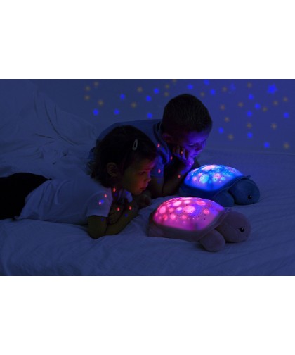 15983 Twinkling Twilight Turtle - Aqua