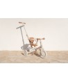 16182 Triciclo con Barra Blanco Flores