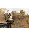 16208 Visor de Historias Leon Safari Friends