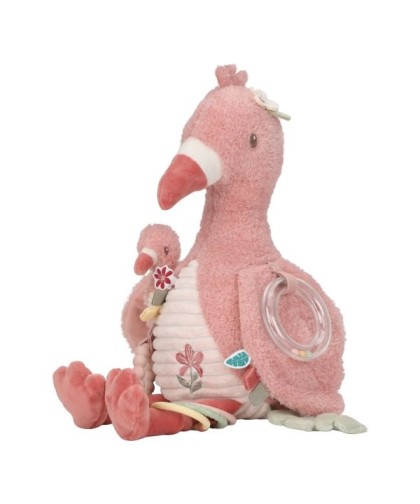 16224 Flamenco de Actividades Safari Friends
