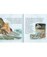16309 Cuentos de Hadas y Animales