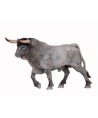 16381 Toro Bravo Cardeno Trotando