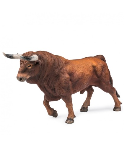 16396 Toro Bravo Colorado Trotando