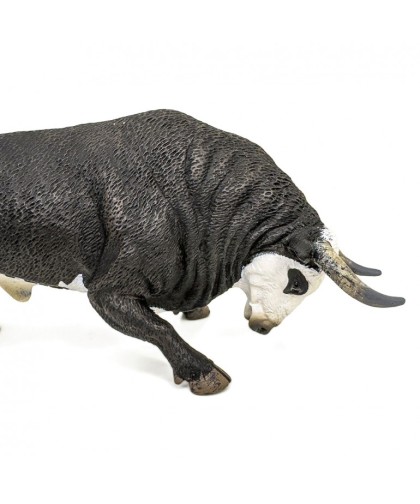16419 Toro bravo Cara blanca embistiendo
