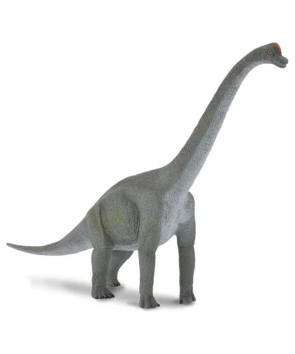 16424 Brachiosaurus -L- 88121