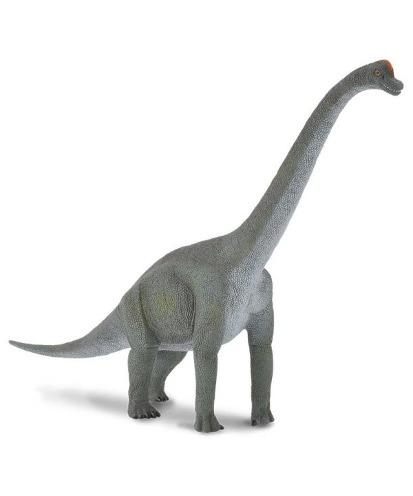 16424 Brachiosaurus -L- 88121