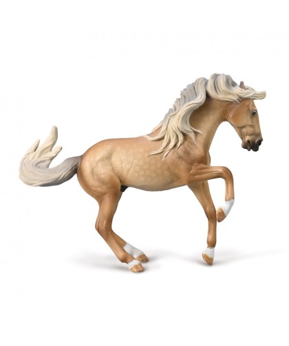 16434 Semental Lusitano Sooty Palomino XL80003