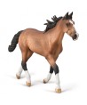 16435 Semental Pacer Stallion Bay XL - 80004