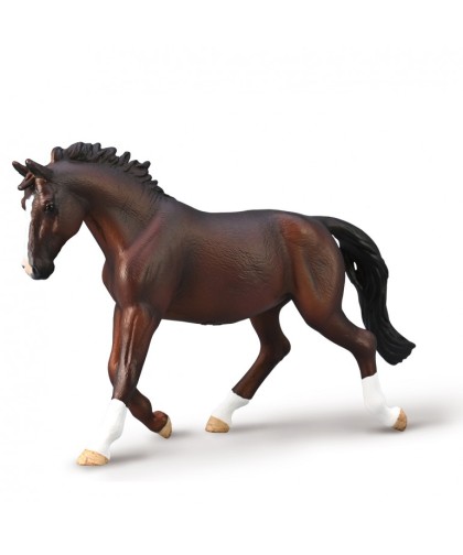 16436 Semental Oldenburg Mare Bay - XL 80006
