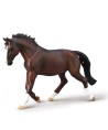 16436 Semental Oldenburg Mare Bay - XL 80006
