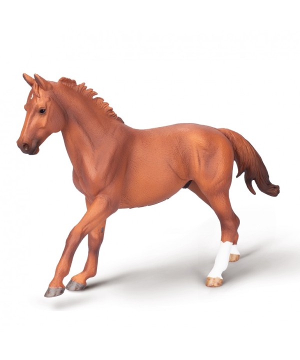16439 Phar Lap, Semental Pura Sangre Castaño