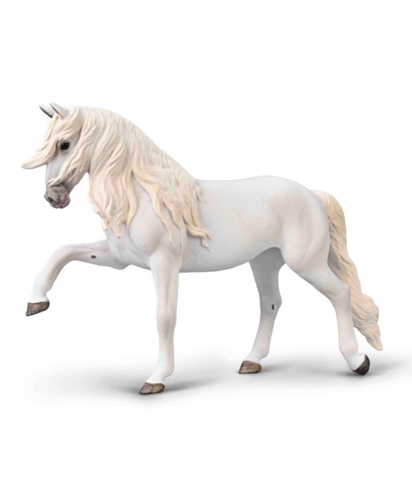 16440 Yegua Lipizzaner con Paso Español XL- 80035