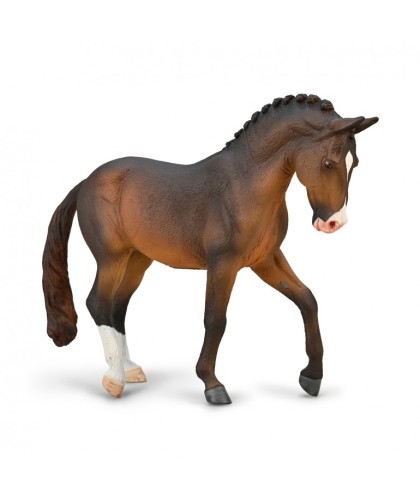 16442 Semental Trakehner de la Bahia XL-80052
