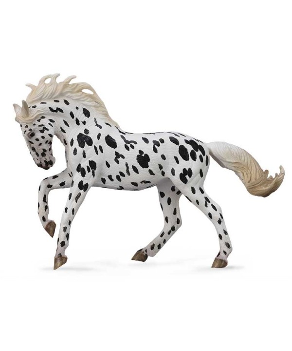 16445 Yegua Knabstrup, Leopardo Oscuro XL 88720