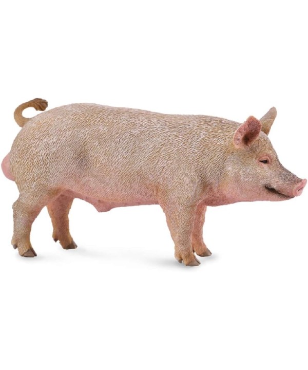 16449 Cerdo Macho - M - 88864