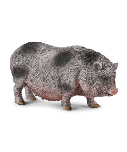 16450 Cerdo Vietnamita M 80067