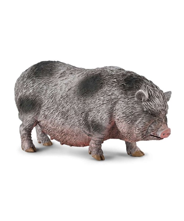 16450 Cerdo Vietnamita M 80067