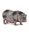 16450 Cerdo Vietnamita M 80067