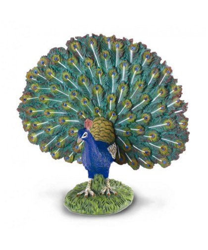 16451 Pavo Real -L- 88209