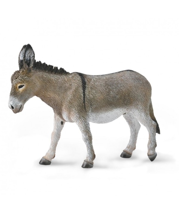 16452 Burro- L - 88934