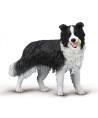 16453 Border Collie - L - 80012