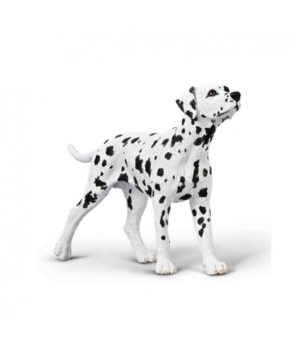 16454 Dalmata -M- 80040