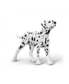 16454 Dalmata -M- 80040